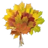 🍂 Эмодзи «Mahakaruna Autumn» для Telegram