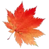 🍁 Эмодзи «Mahakaruna Autumn» для Telegram