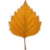 🤩 Эмодзи «Mahakaruna Autumn» для Telegram