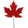 🍁 Эмодзи «Mahakaruna Autumn» для Telegram