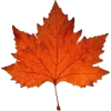 🤩 Эмодзи «Mahakaruna Autumn» для Telegram