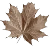 🤩 Эмодзи «Mahakaruna Autumn» для Telegram