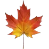 🍂 Эмодзи «Mahakaruna Autumn» для Telegram