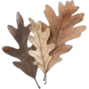 🍁 Эмодзи «Mahakaruna Autumn» для Telegram