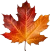 🤩 Эмодзи «Mahakaruna Autumn» для Telegram