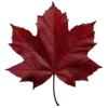 🤩 Эмодзи «Mahakaruna Autumn» для Telegram