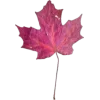 🍁 Эмодзи «Mahakaruna Autumn» для Telegram
