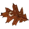 🤩 Эмодзи «Mahakaruna Autumn» для Telegram