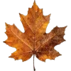 🍁 Эмодзи «Mahakaruna Autumn» для Telegram