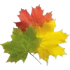 🍁 Эмодзи «Mahakaruna Autumn» для Telegram