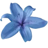 🔵 Эмодзи «ᱬ𐌳ዘ𐌉ተᱛ» для Telegram
