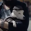 🦮 Эмодзи «Майор Гром» для Telegram