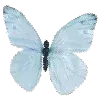 😘 Эмодзи «× random 8» для Telegram