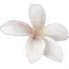 🤩 Эмодзи «× random 8» для Telegram