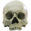 🤩 Эмодзи «× random 8» для Telegram