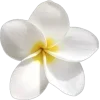 🤩 Эмодзи «random 9» для Telegram