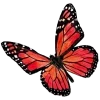 🦋 Эмодзи «𝗠𝗮𝗻𝗷𝘂𝘀𝗮𝗸𝗮 ː» для Telegram