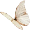 🦋 Эмодзи «Эмоджи к 8 Марта - женский день 🎁» для Telegram