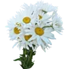 🌼 Эмодзи «Эмоджи к 8 Марта - женский день 🎁» для Telegram
