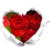 ❤️ Эмодзи «Эмоджи к 8 Марта - женский день 🎁» для Telegram