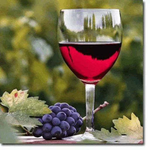 🍷 Стикер «.•° SHARAB °•. ]» для Telegram