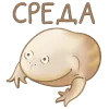 💃 Эмодзи «🤗 Лягушки» для Telegram