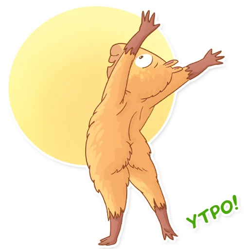 🌅 Стикер «Капи Барри» для Telegram
