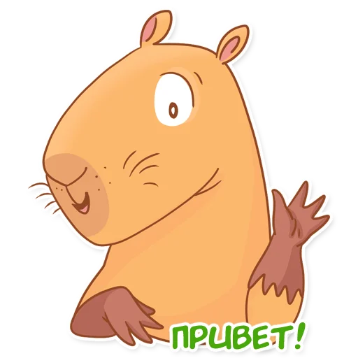 Стикерпак Капи Барри для Telegram — скачать