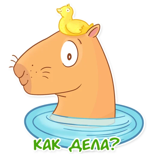 🐥 Стикер «Капи Барри» для Telegram