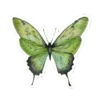 🦋 Эмодзи «🍨 Набор эмоджи с едой в стиле матча» для Telegram