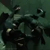 😡 Эмодзи «Матрица Matrix» для Telegram