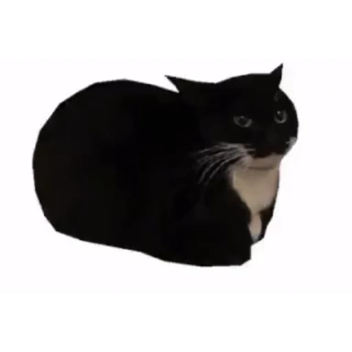 😏 Стикер «Maxwell the Cat • Кот Максвелл» для Telegram