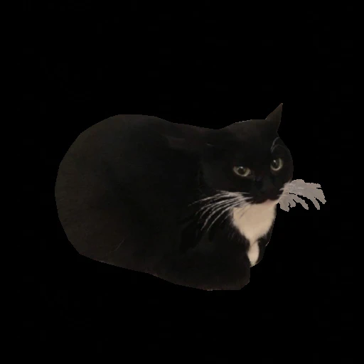 🐱 Стикер «Maxwell the Cat • Кот Максвелл» для Telegram