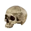 💀 Эмодзи «Medieval Style» для Telegram