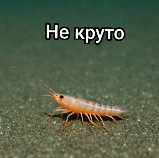 🤡 Стикер «МегаСуперКрутойСтикерпак» для Telegram