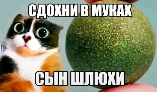 🤩 Стикер «Мемасики))» для Telegram