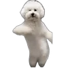 💃 Эмодзи «Memes With Cats» для Telegram