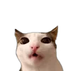 😋 Эмодзи «Memes With Cats» для Telegram
