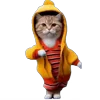 💃 Эмодзи «Memes With Cats» для Telegram
