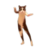 🤩 Эмодзи «Memes With Cats» для Telegram