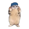 💃 Эмодзи «Memes With Cats» для Telegram