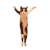 🤩 Эмодзи «Memes With Cats» для Telegram