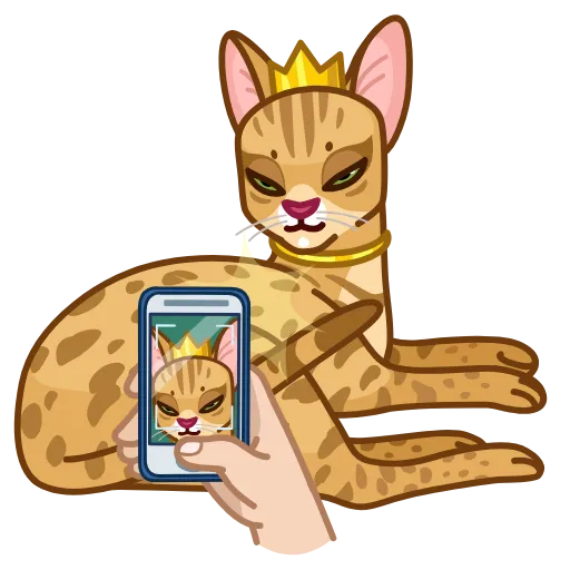 👸 Эмодзи «Memes With Cats» для Telegram