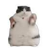 🤤 Эмодзи «Memes With Cats» для Telegram