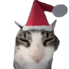 🎄 Эмодзи «Memes With Cats» для Telegram