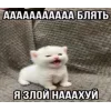🤩 Эмодзи «Memes Ultimate Pack» для Telegram