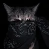🤩 Эмодзи «Memes Ultimate Pack» для Telegram