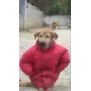 🤩 Эмодзи «Memes Ultimate Pack» для Telegram