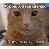 🤩 Эмодзи «Memes Ultimate Pack» для Telegram