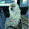 🤩 Эмодзи «Memes Ultimate Pack» для Telegram